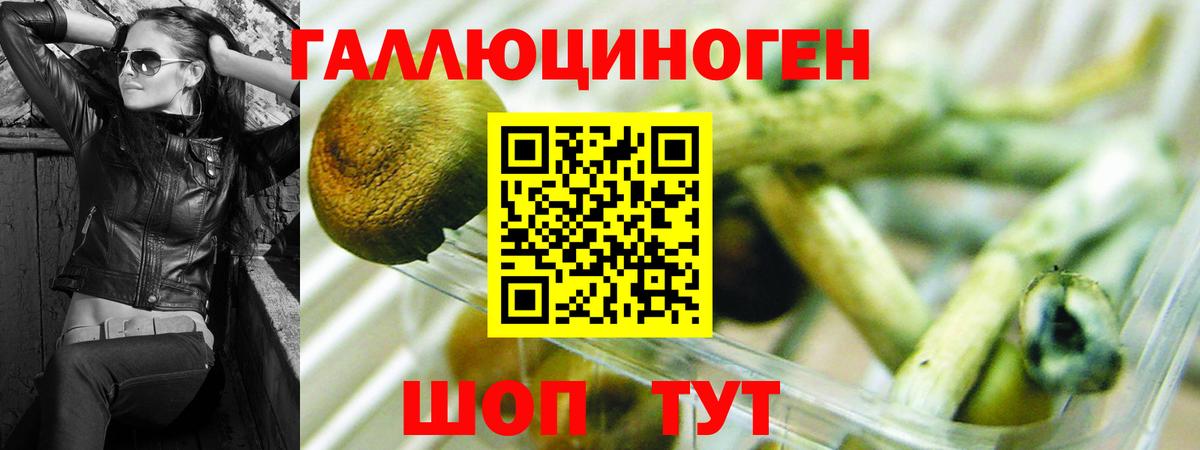 Псилоцибиновые грибы Cubensis  Вход с VPN  Сердобск 